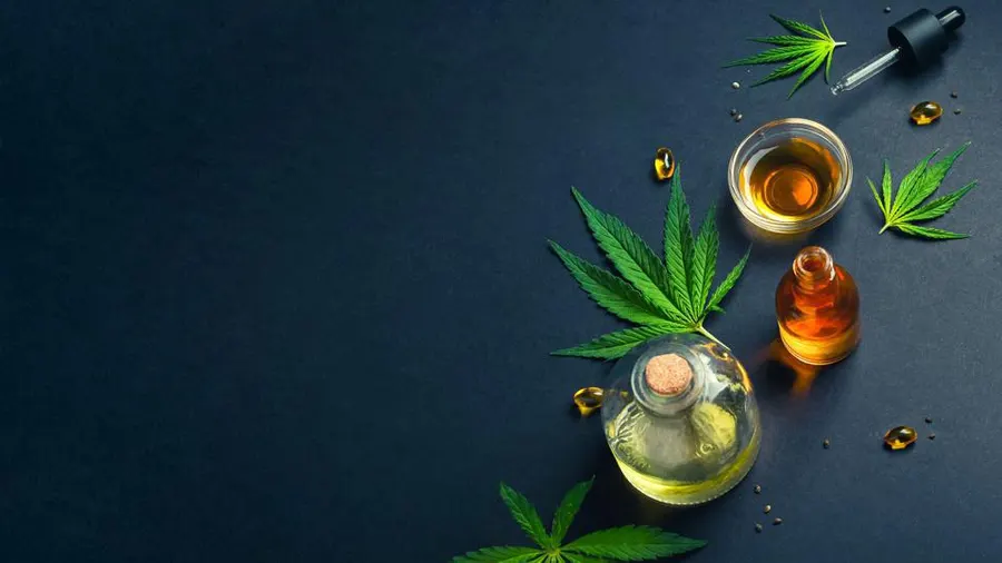 CBD Stores: Your Gateway to Nature’s Harmony