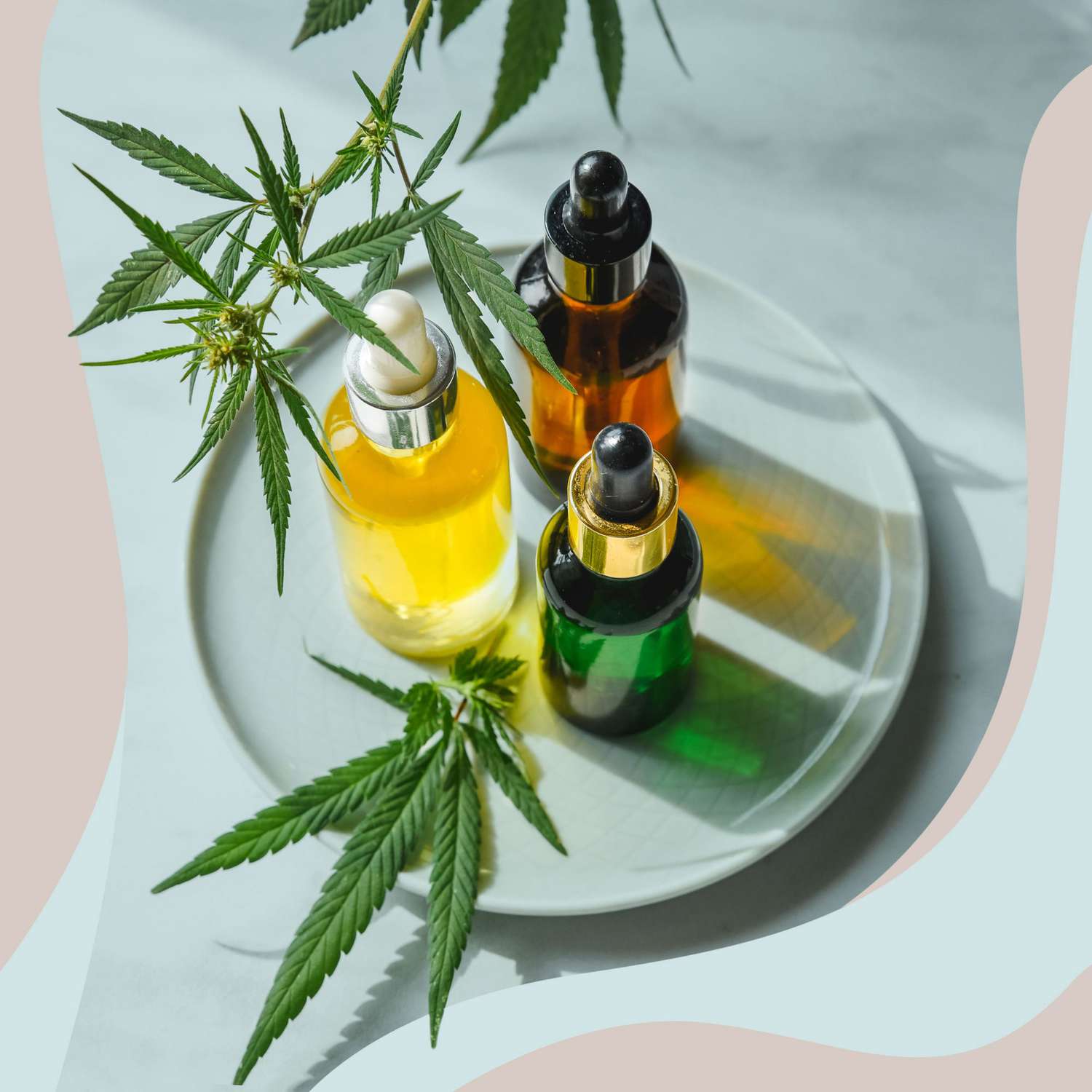 The Green Miracle: CBD’s Rise as a Holistic Health Solution