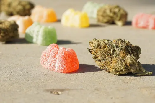 Discover Happiness with Star Buds: Explore Wana Gummies, Shatter, and Learn How Long Edibles Last!